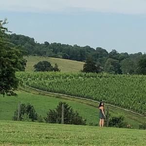 Meet your Posher, Michelle